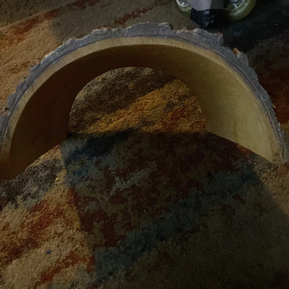 Large reptile Hide